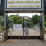zoo