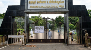 zoo