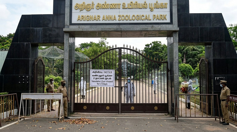 zoo